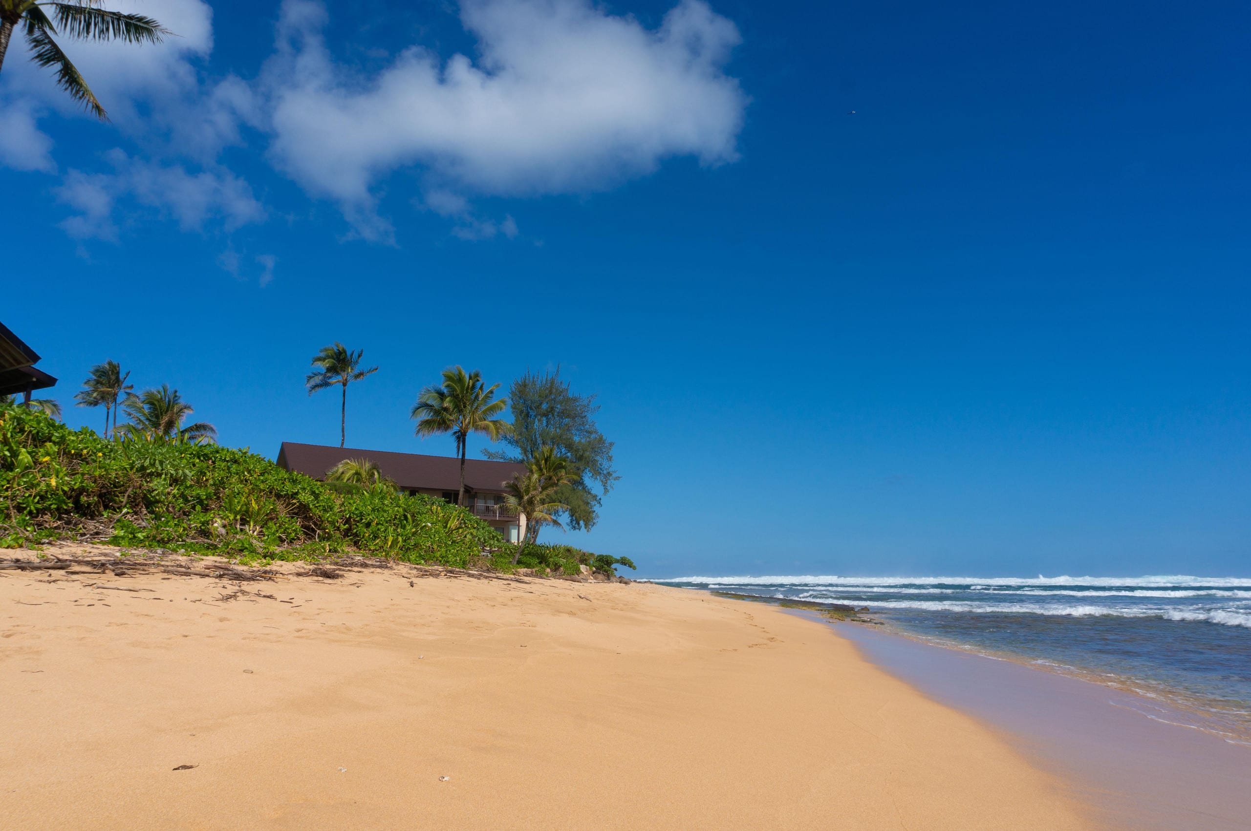 Condo in Hanalei · ★4.61 · 2 bedrooms · 3 beds · 2 baths - Image 36