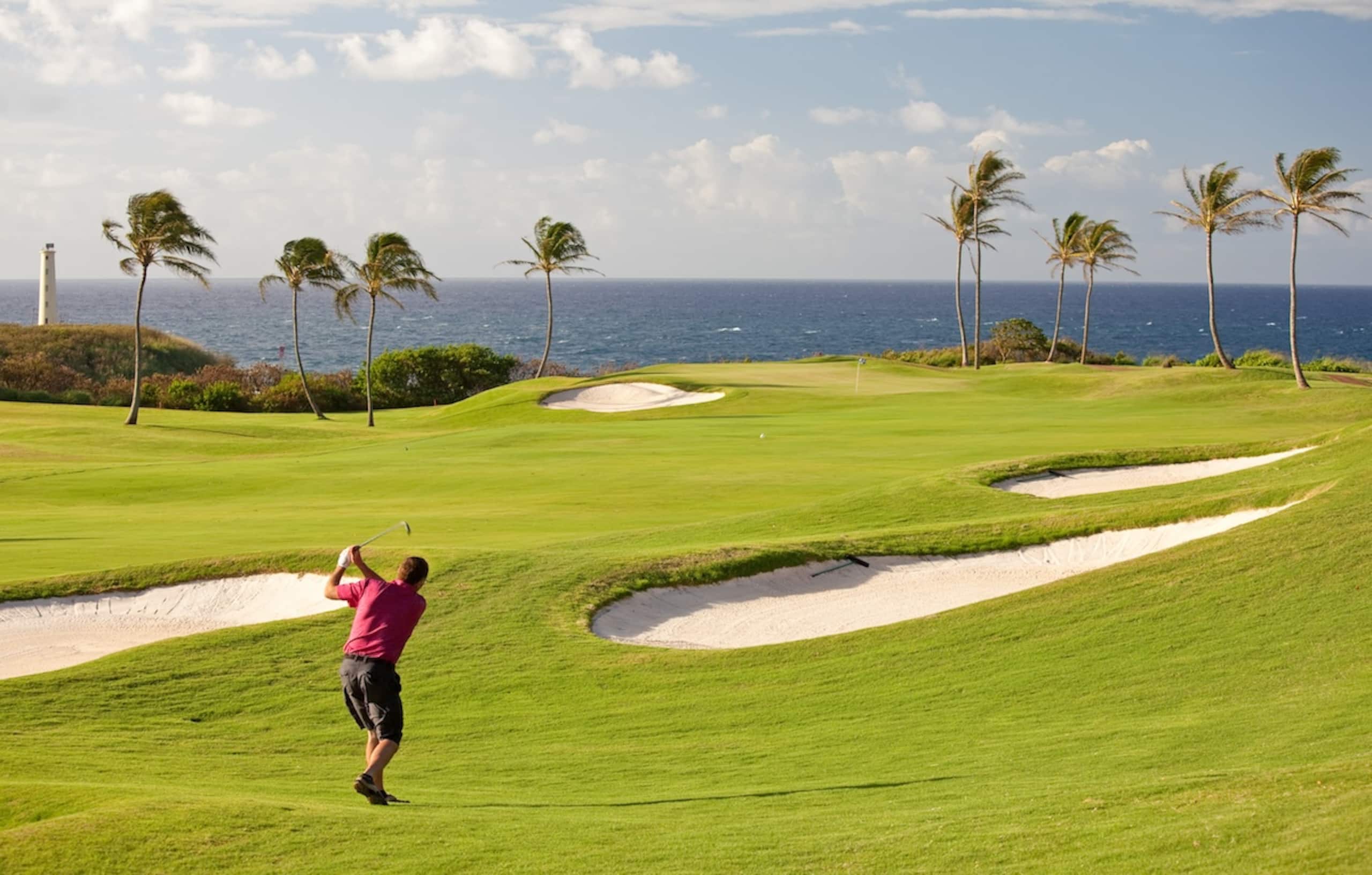 Home in Koloa · ★5.0 · 4 bedrooms · 5 beds · 4.5 baths - Photo 19