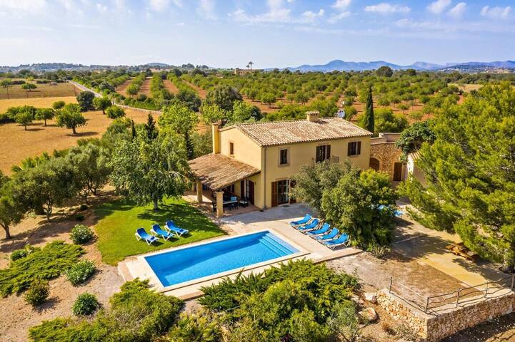 Finca Vista Alegre gallery image 2