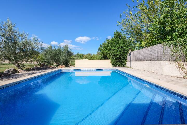 Can Jaume gallery image 2