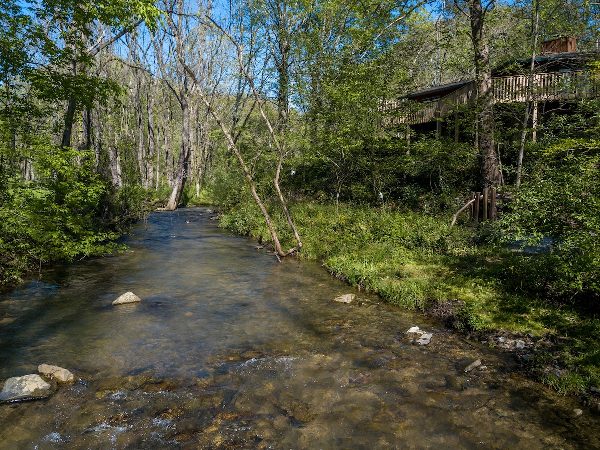 A clear Smoky Mountain stream flows gently through a lush, green landscape. Sunlight filters through the trees, highlighting the tranquil water and pebbled bottom. A natural setting is framed by trees and foliage, enhancing the serenity of the environment.
