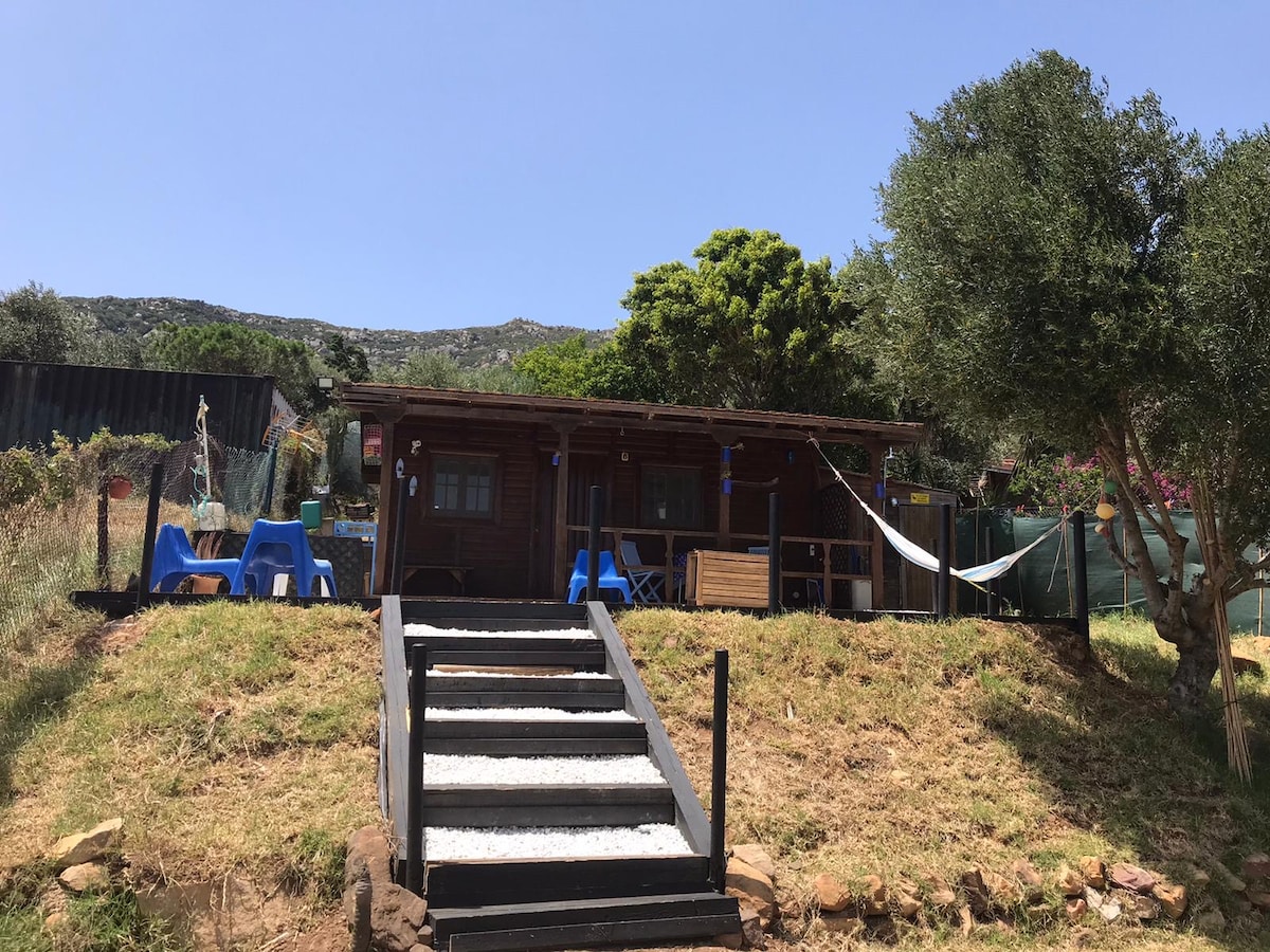 A charming wooden cottage is set on a grassy slope, surrounded by trees and shrubs. Sturdy steps lead up to the entrance, where blue chairs and hammocks provide outdoor seating options. The bright sky and distant hills create a natural backdrop for this peaceful retreat.