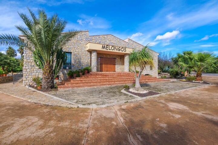 Melongos gallery image 4