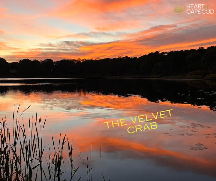 The Velvet Crab~dog Frndly/great Location! - Nauset Beach, MA