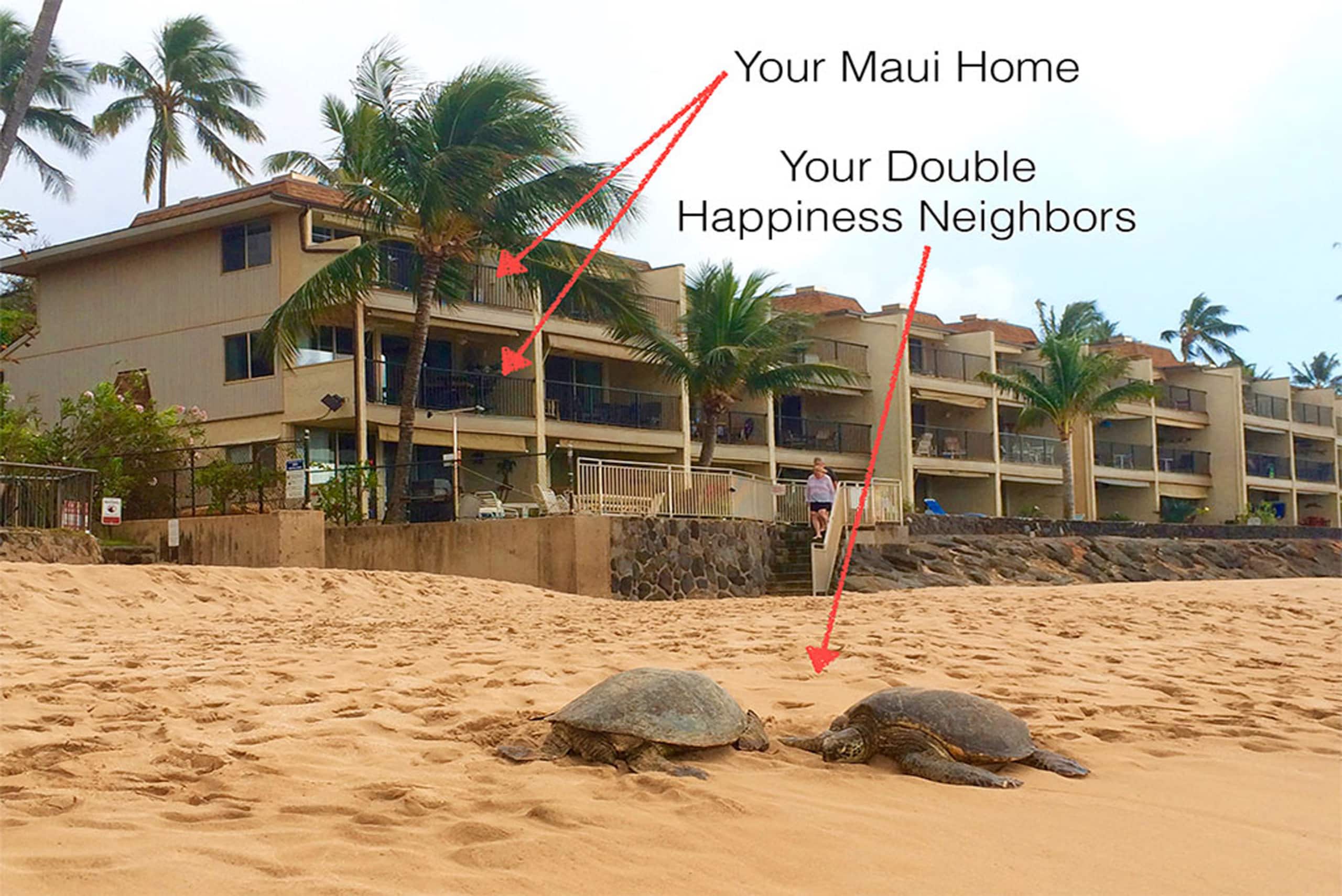 Condo in Lahaina · ★4.96 · 2 bedrooms · 3 beds · 2 baths - Image 44