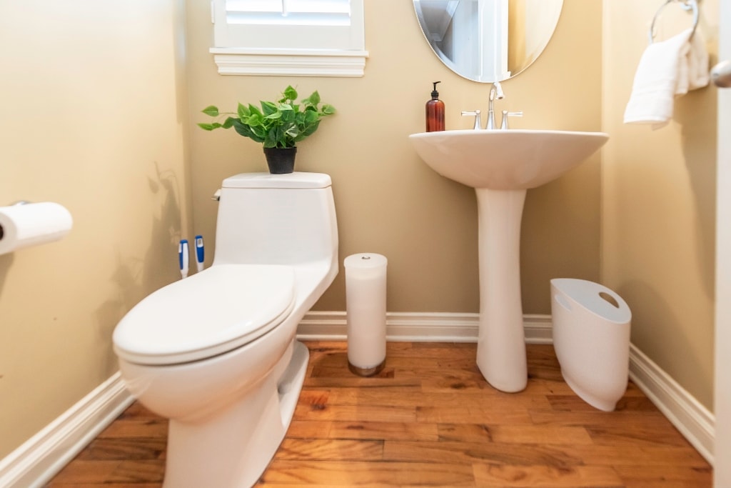 A bright half bathroom features light-colored walls and wooden flooring. A white toilet is situated beside a pedestal sink with a circular mirror above it. A small potted plant adds a touch of greenery, while toiletries are neatly arranged on the sink.