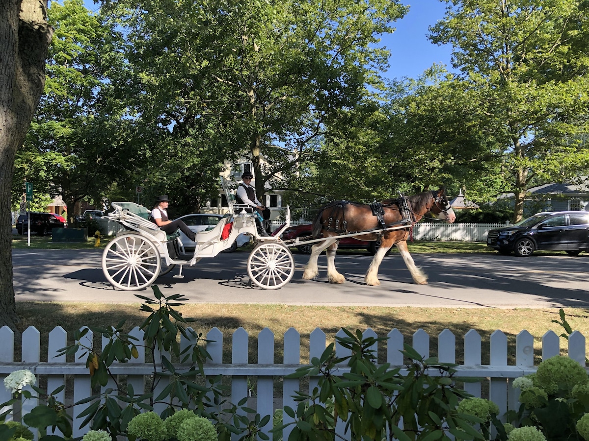 A horse-drawn carriage is seen on a tree-lined street, with a driver and passenger enjoying the ride. Lush greenery and a white picket fence are visible in the foreground, contributing to the charming atmosphere of the area.