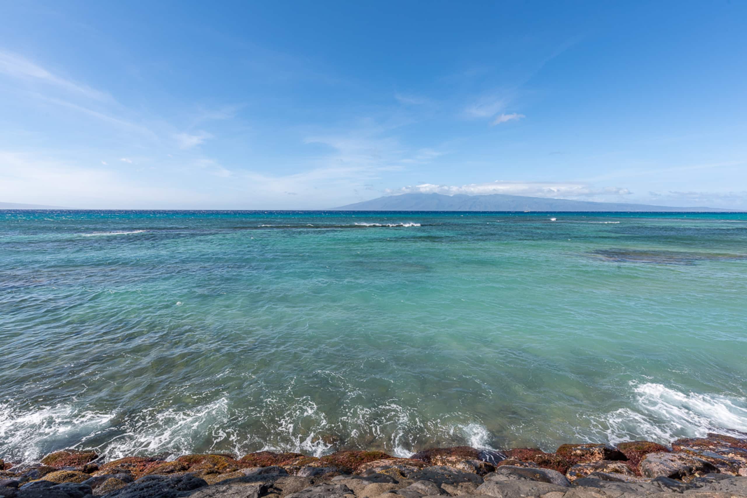 Condo in Lahaina · ★4.89 · 1 bedroom · 1 bed · 1 bath - Image 46
