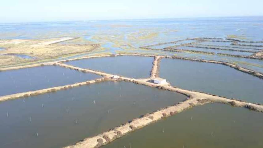 Guest favorite listing in Faro