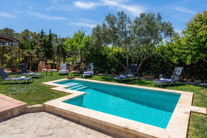 Moli Den Barret gallery image 2