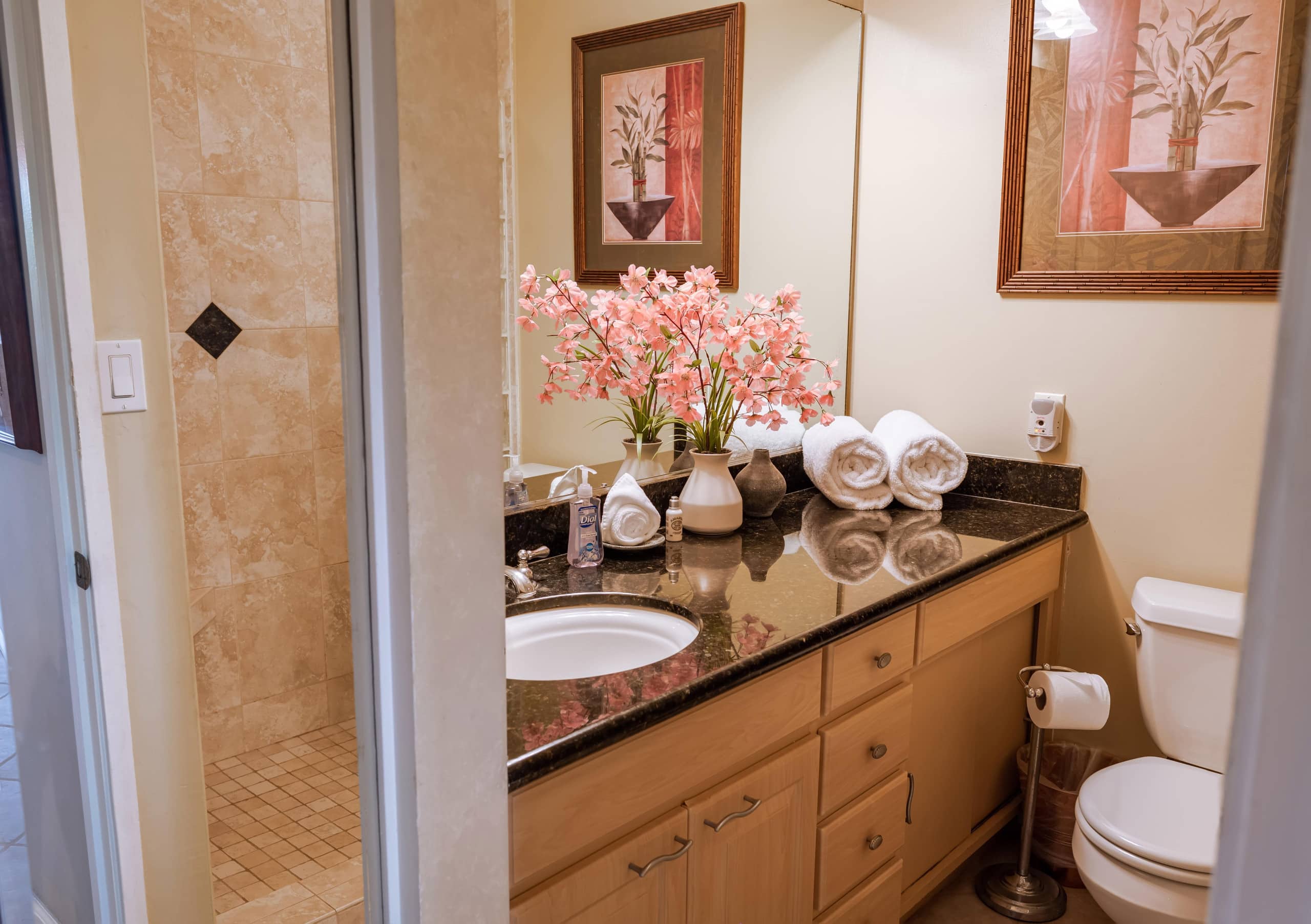 Condo in Kihei · ★5.0 · 1 bedroom · 2 beds · 2 private baths - Image 20