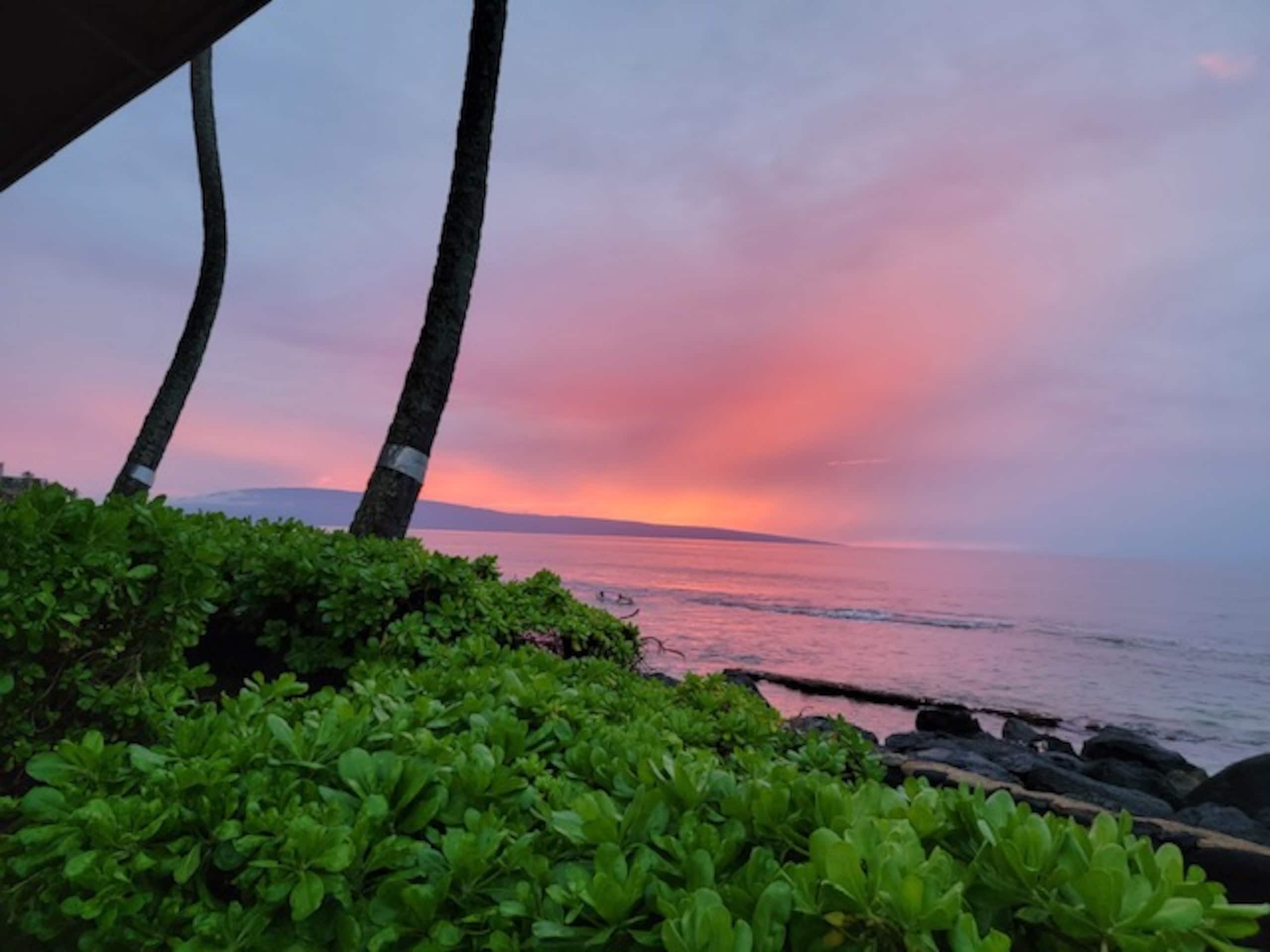 Condo in Lahaina · ★4.71 · 1 bedroom · 1 bed · 1 private bath - Image 22