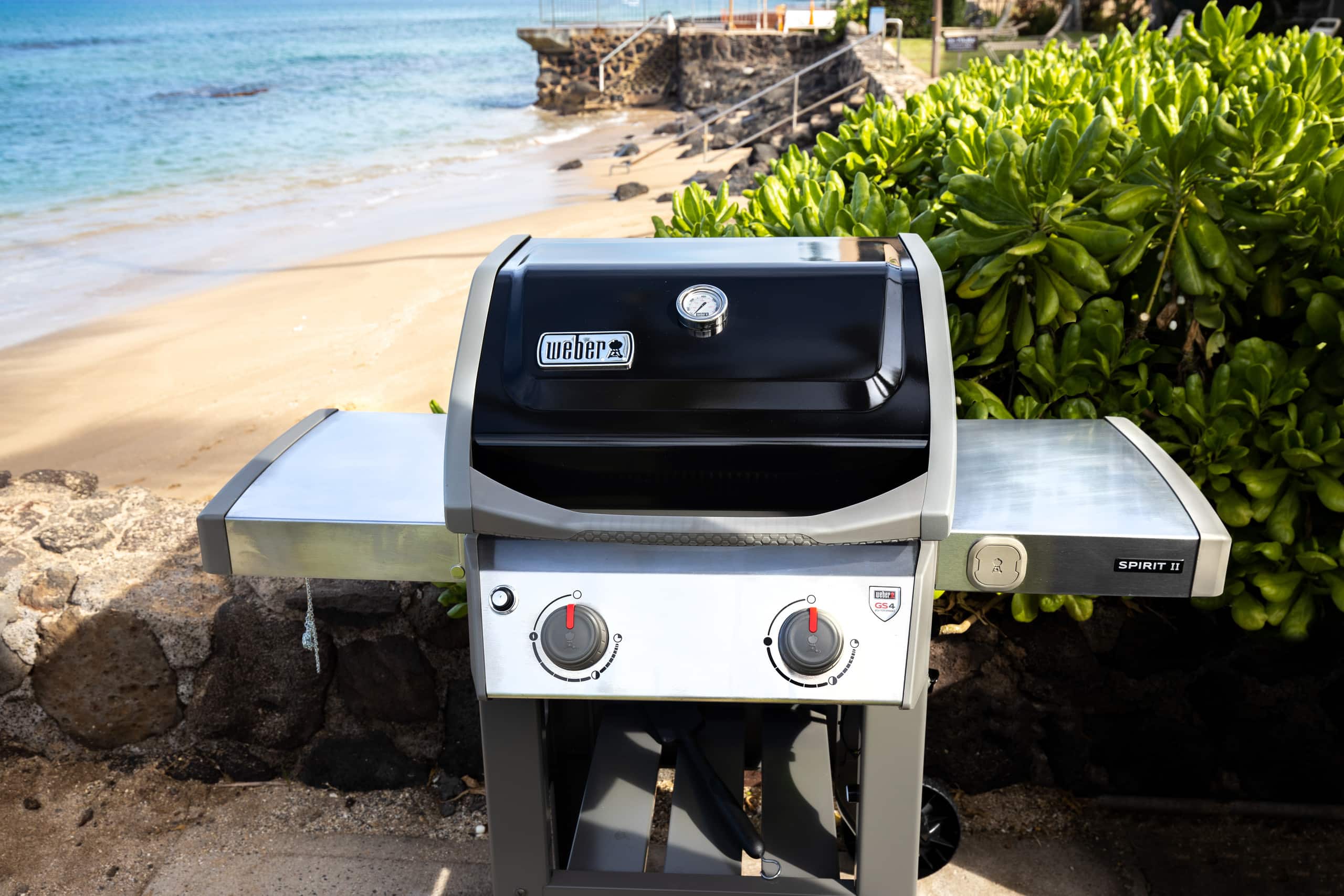 Condo in Lahaina · ★4.71 · 1 bedroom · 1 bed · 1 private bath - Image 24