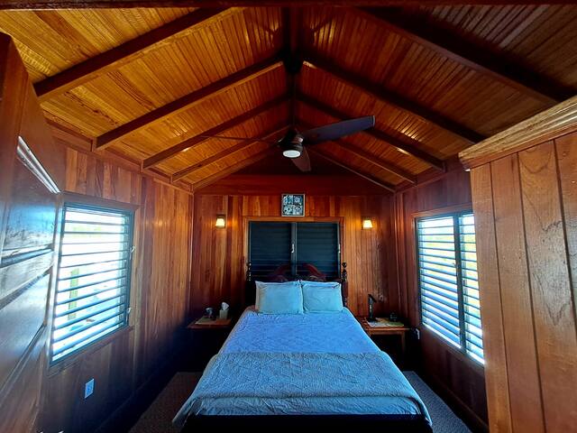 Therapy, Entire Property gallery image 3