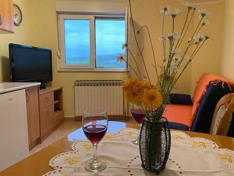 Popular Airbnb listing: Apartment Luka - One Bedroom Apartment in Jadrtovac