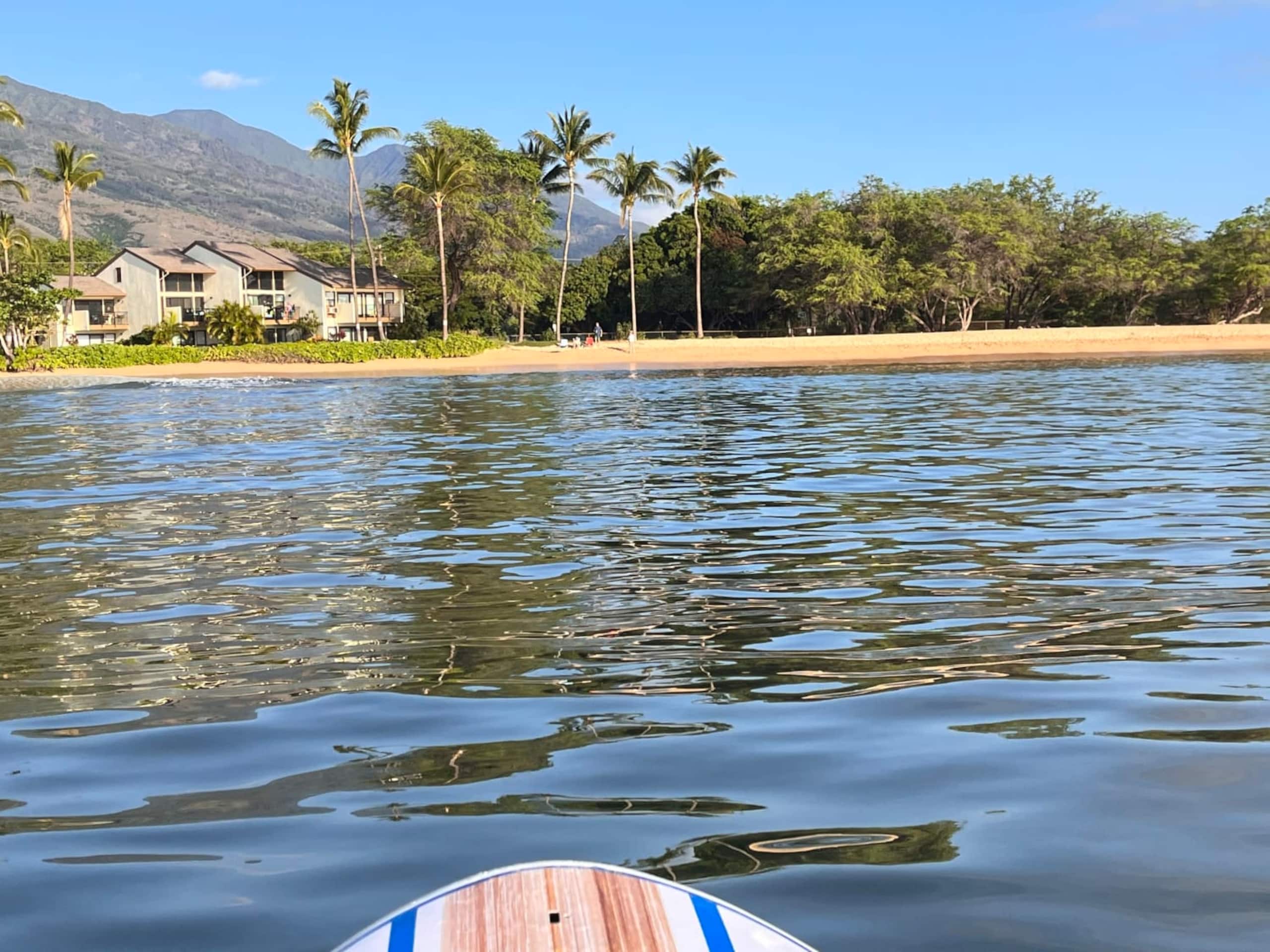 Condo in Wailuku · ★4.98 · 1 bedroom · 2 beds · 1 bath - Image 7