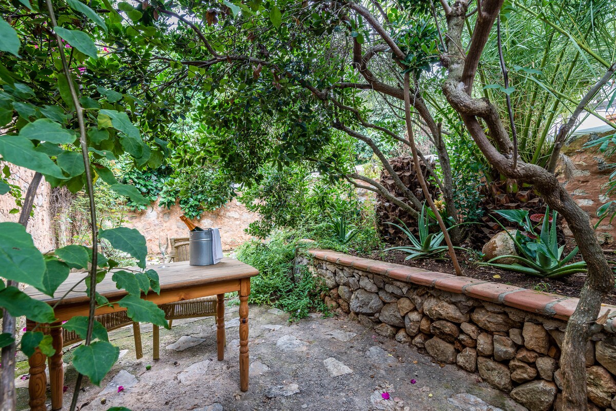 A serene outdoor space is surrounded by lush greenery and tall plants. A wooden table with chairs is situated on a stone pathway, inviting relaxation. Natural light filters through the foliage, creating a peaceful atmosphere for quiet moments.