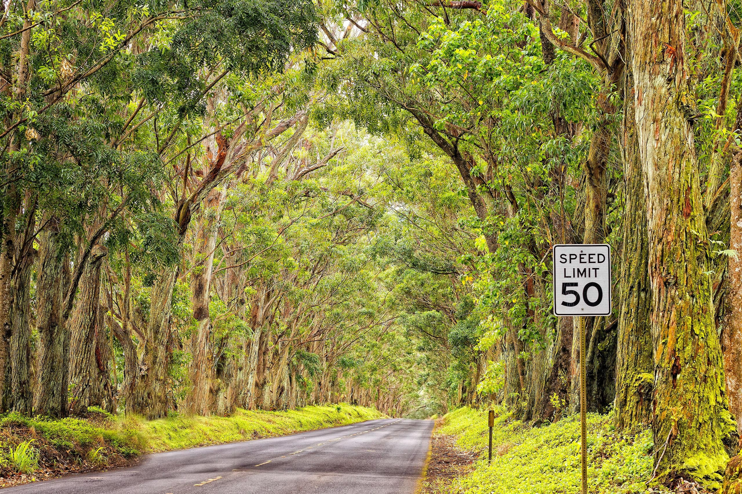 Home in Koloa · ★4.93 · 3 bedrooms · 3 beds · 3 baths - Photo 32