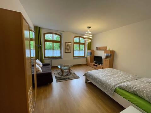 Ferienwohnung/App. für 4 Gäste mit 46m² in Zwickau (153923)