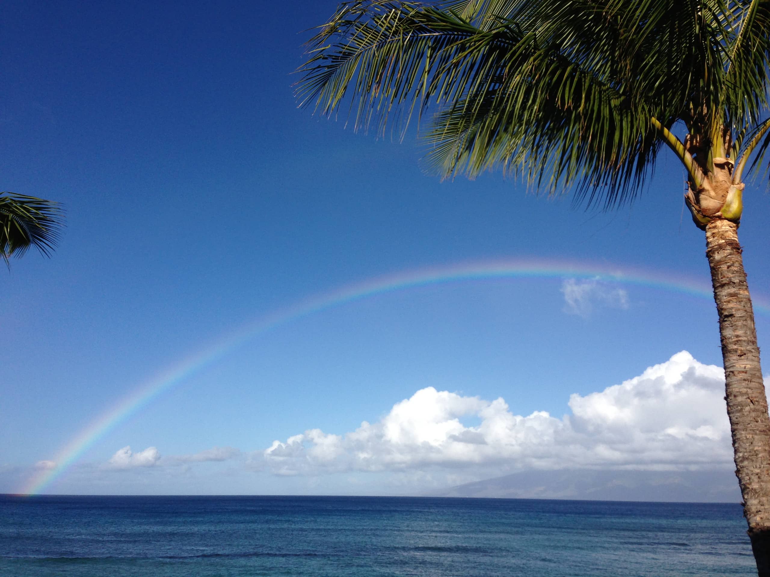 Condo in Lahaina · ★4.93 · 2 bedrooms · 2 beds · 2 private baths - Image 22