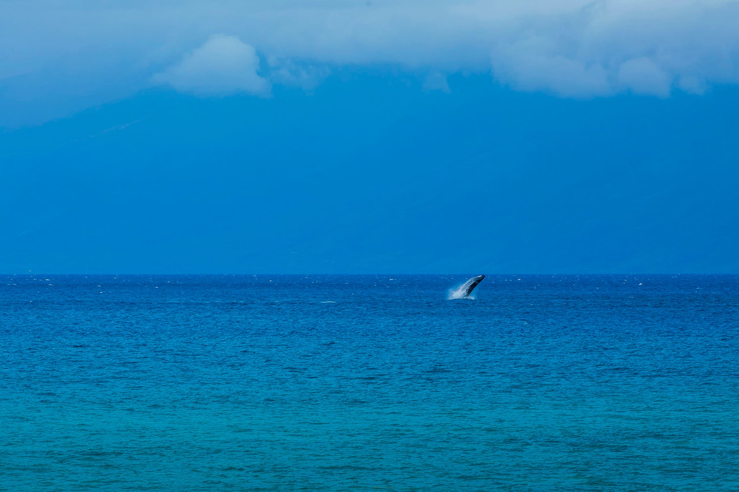 Condo in Lahaina · ★4.93 · 2 bedrooms · 2 beds · 2 private baths - Image 23