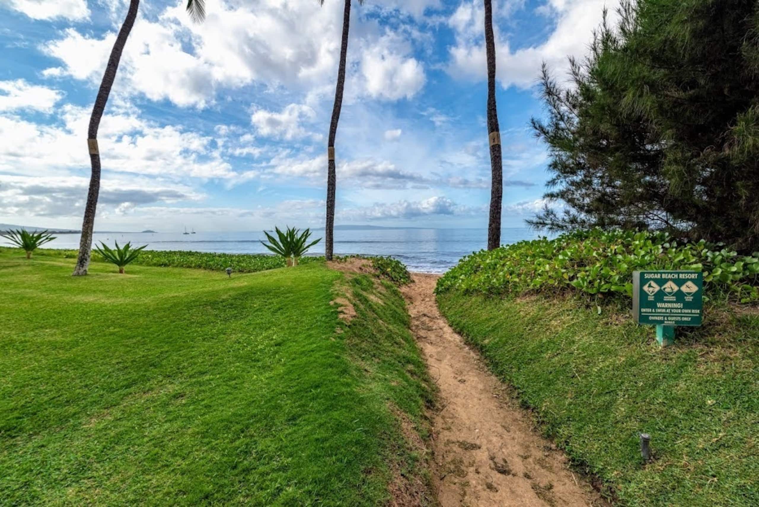 Condo in Kihei · ★4.81 · 1 bedroom · 2 beds · 1 bath - Image 40