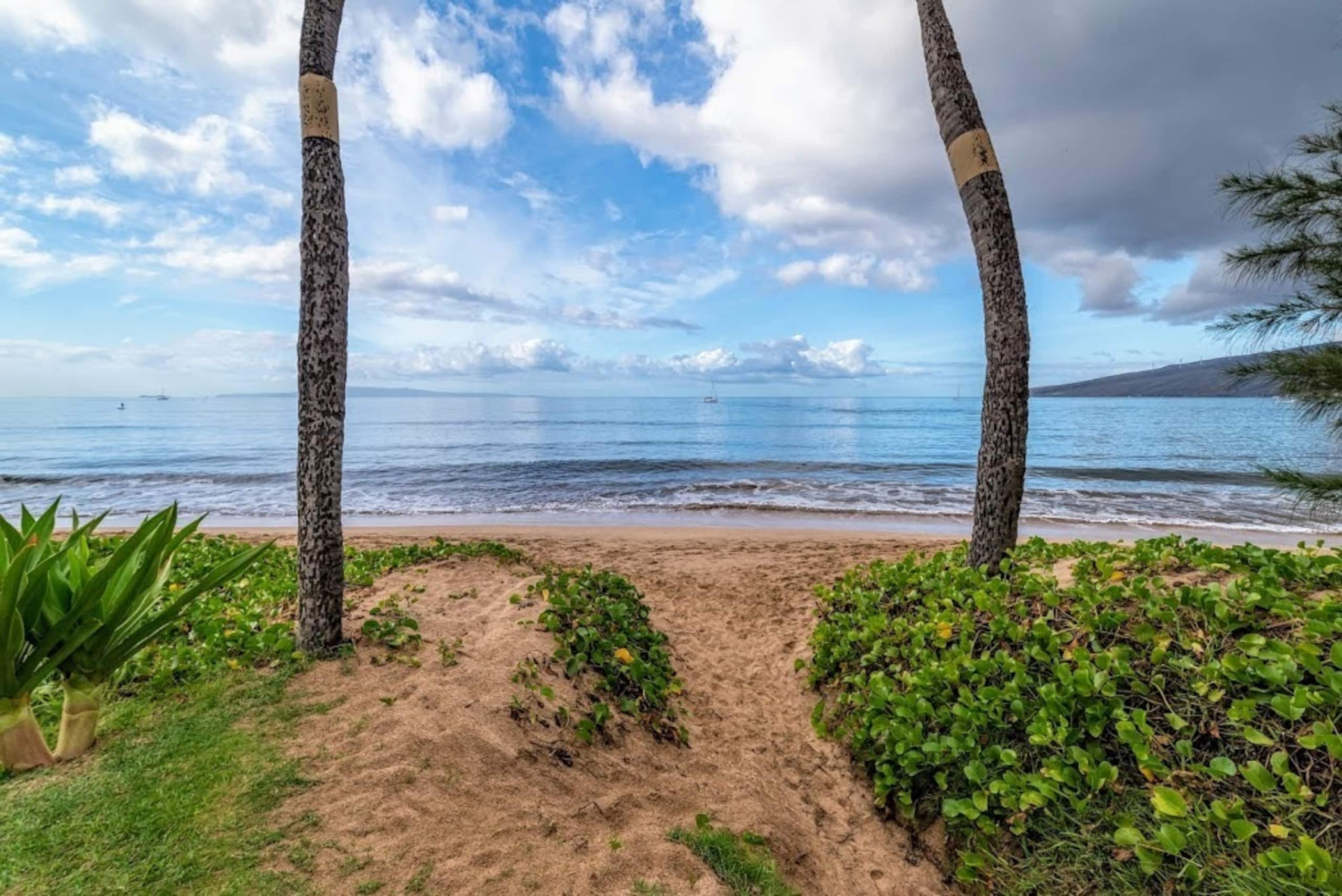 Condo in Kihei · ★4.81 · 1 bedroom · 2 beds · 1 bath - Image 39