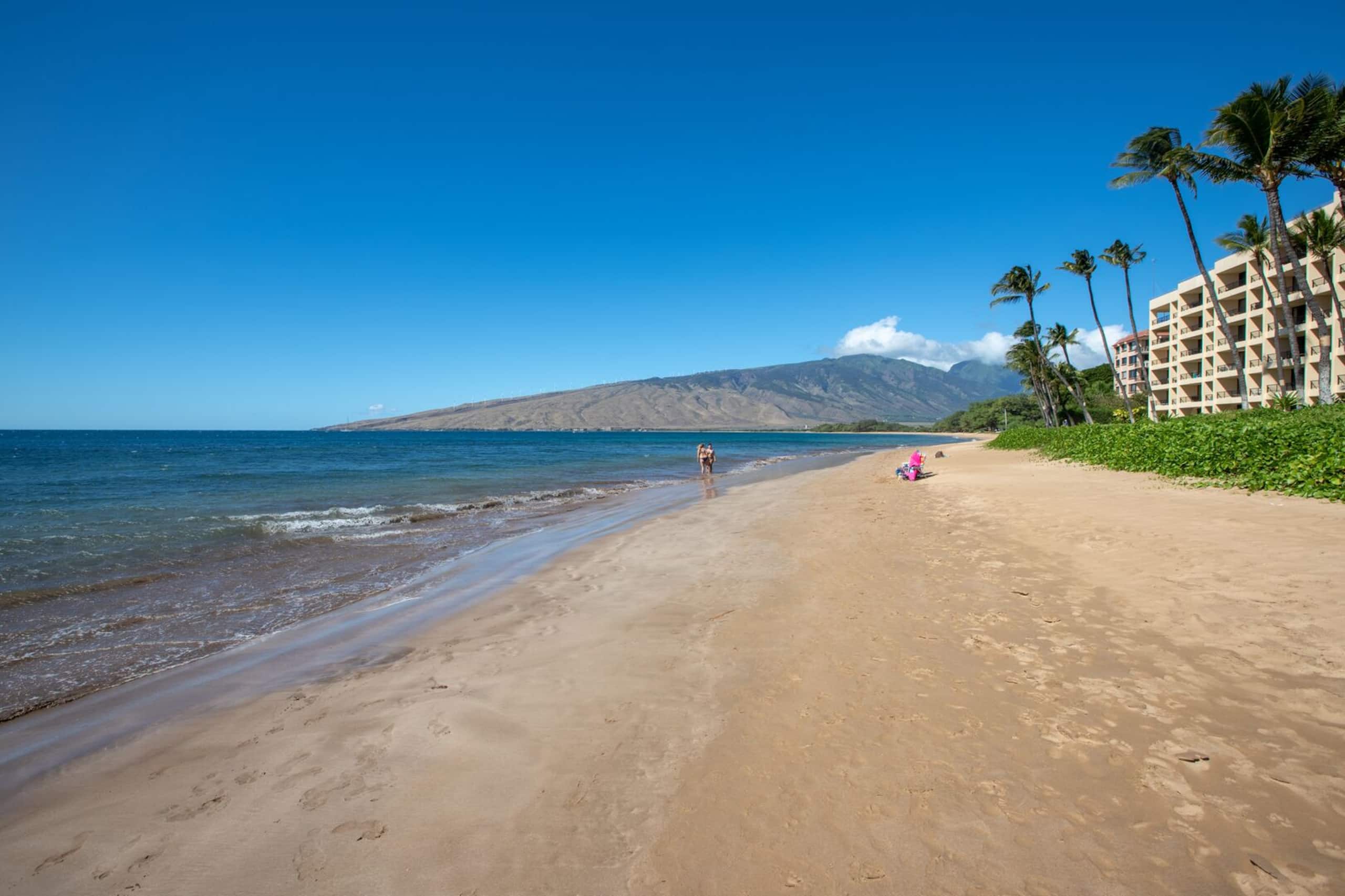 Condo in Kihei · ★4.78 · 1 bedroom · 2 beds · 1 bath - Image 33