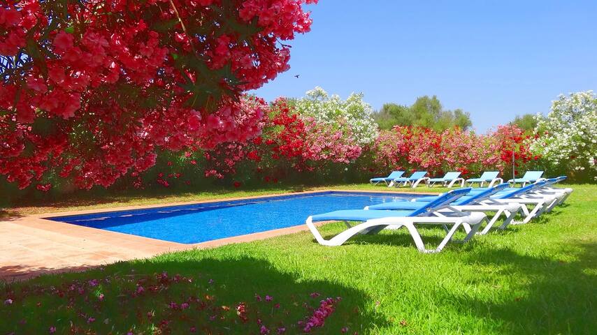 Son Mas gallery image 5