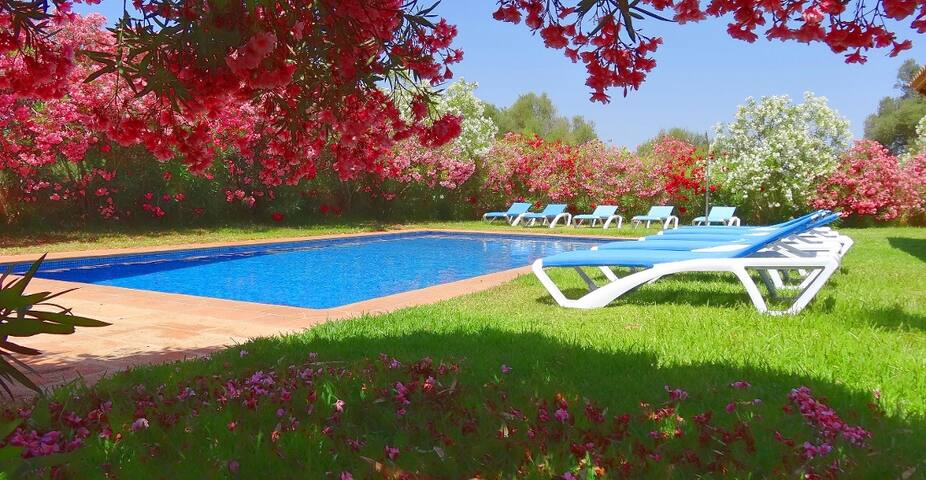 Son Mas gallery image 4