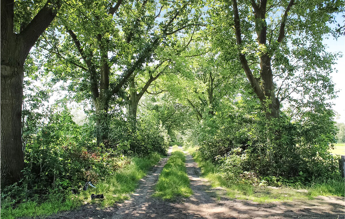 A tree-lined path meanders through a vibrant green landscape, with dense foliage on either side. Sunlight filters through the leaves, creating a serene atmosphere ideal for leisurely walks. The unpaved road appears welcoming, suggesting a connection to the surrounding natural environment.