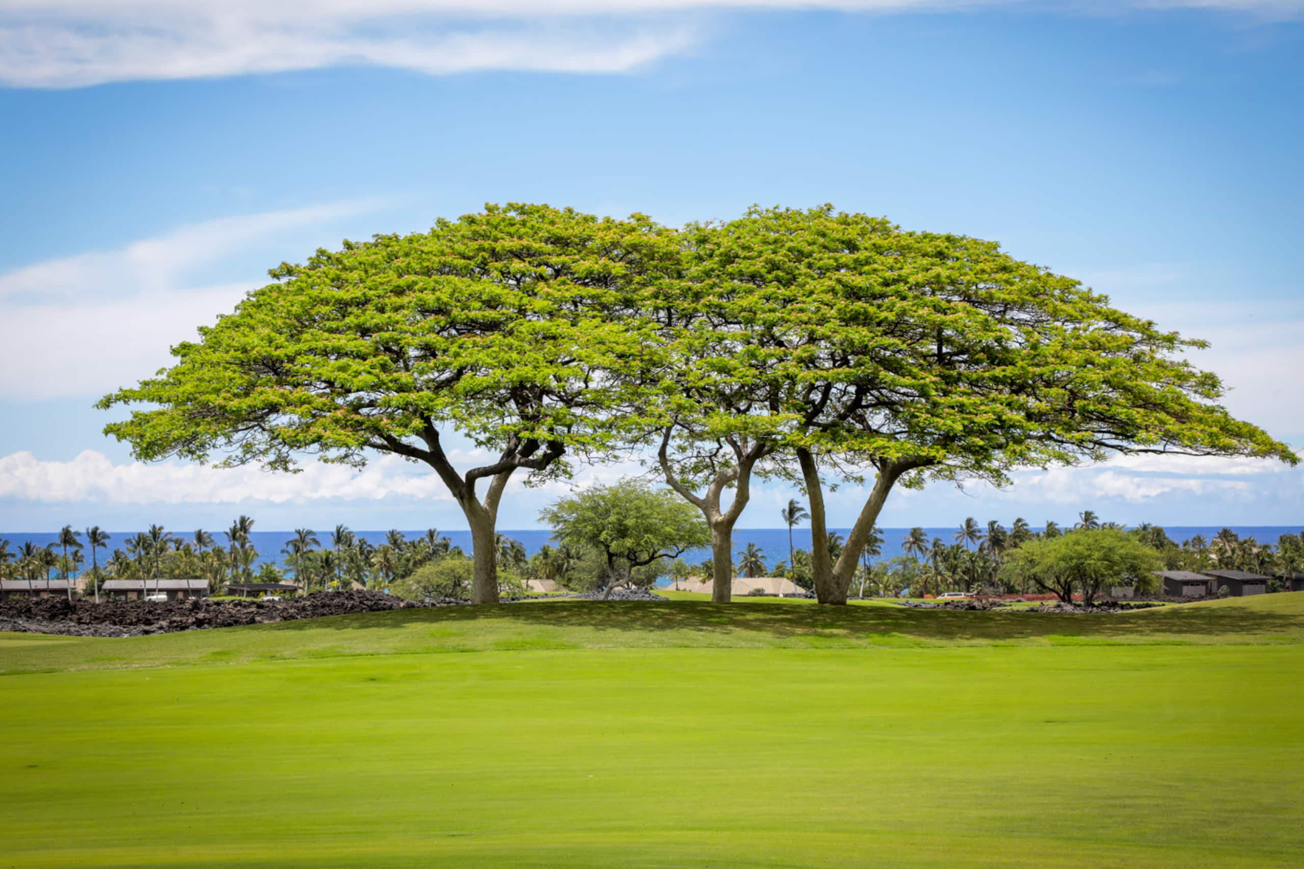 Home in Kailua-Kona · ★5.0 · 4 bedrooms · 4 beds · 4 baths - Image 55