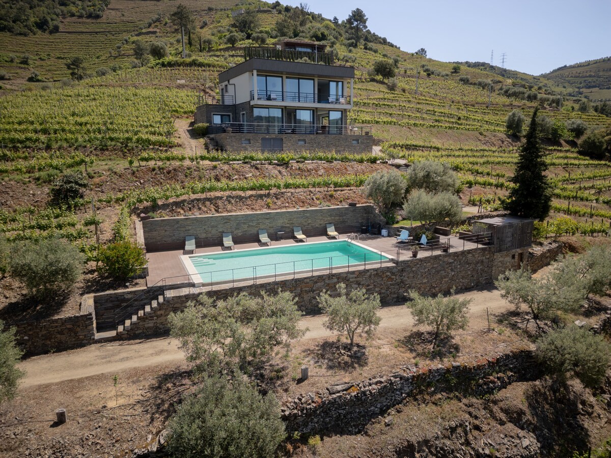 A modern villa is positioned on a hillside amidst terraced vineyards. A swimming pool is set in a stone-paved area, surrounded by reclining chairs. Lush olive trees are visible around the pool, enhancing the natural beauty of the landscape. The distant hills create a scenic backdrop.