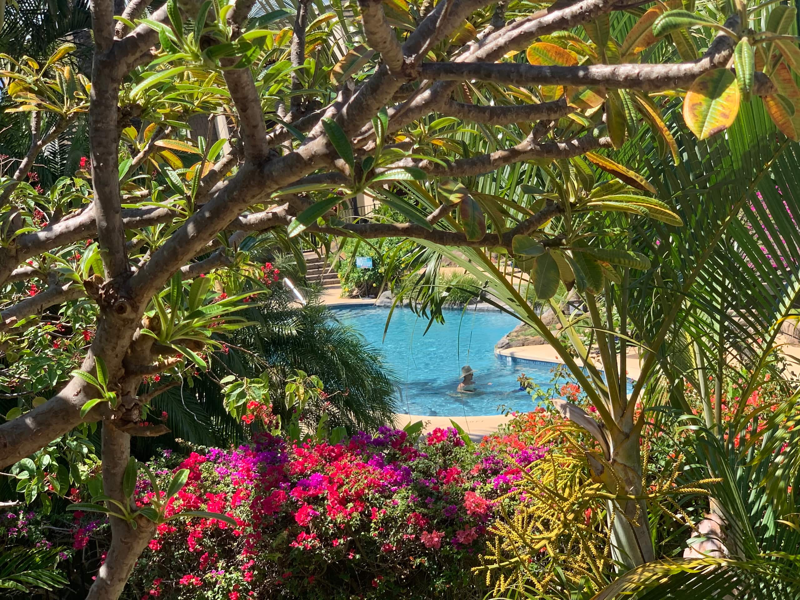 Condo in Kihei · ★5.0 · 2 bedrooms · 3 beds · 2 private baths - Image 7