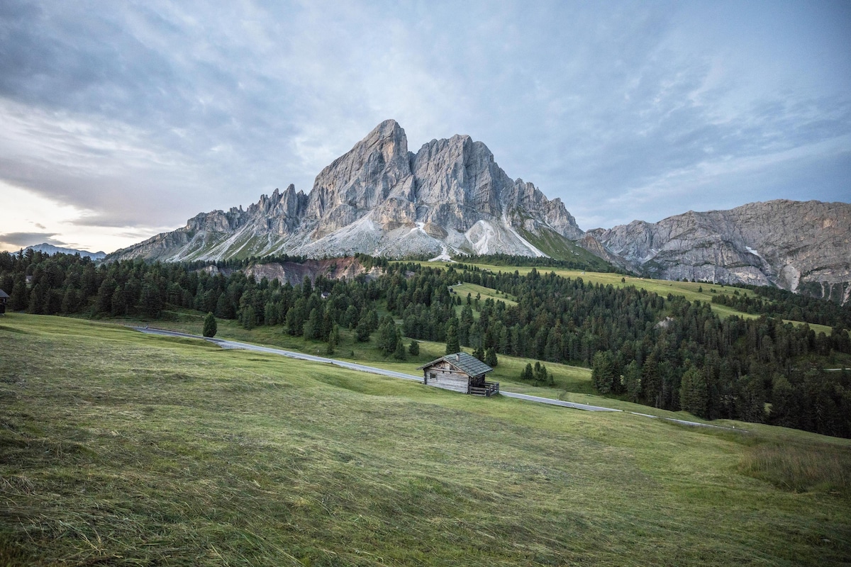 A stunning view of a prominent mountain range is captured, with rugged peaks rising above a green meadow. A small wooden structure is positioned in the foreground, surrounded by lush vegetation, complementing the serene landscape.