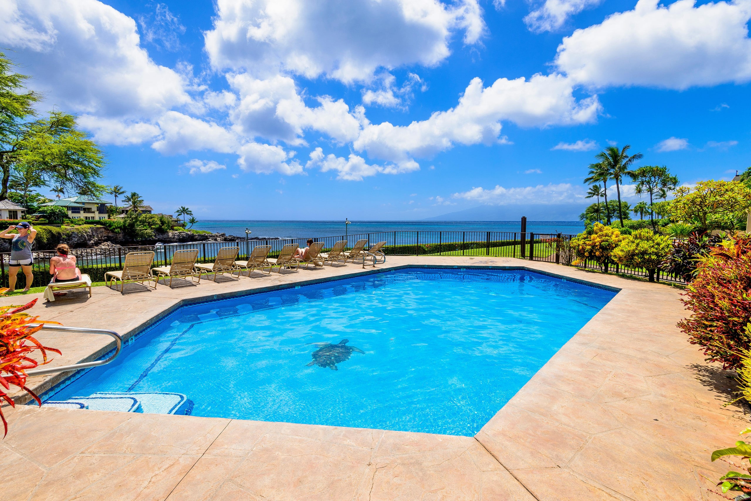 Condo in Lahaina · ★4.78 · 2 bedrooms · 4 beds · 2 baths - Image 31