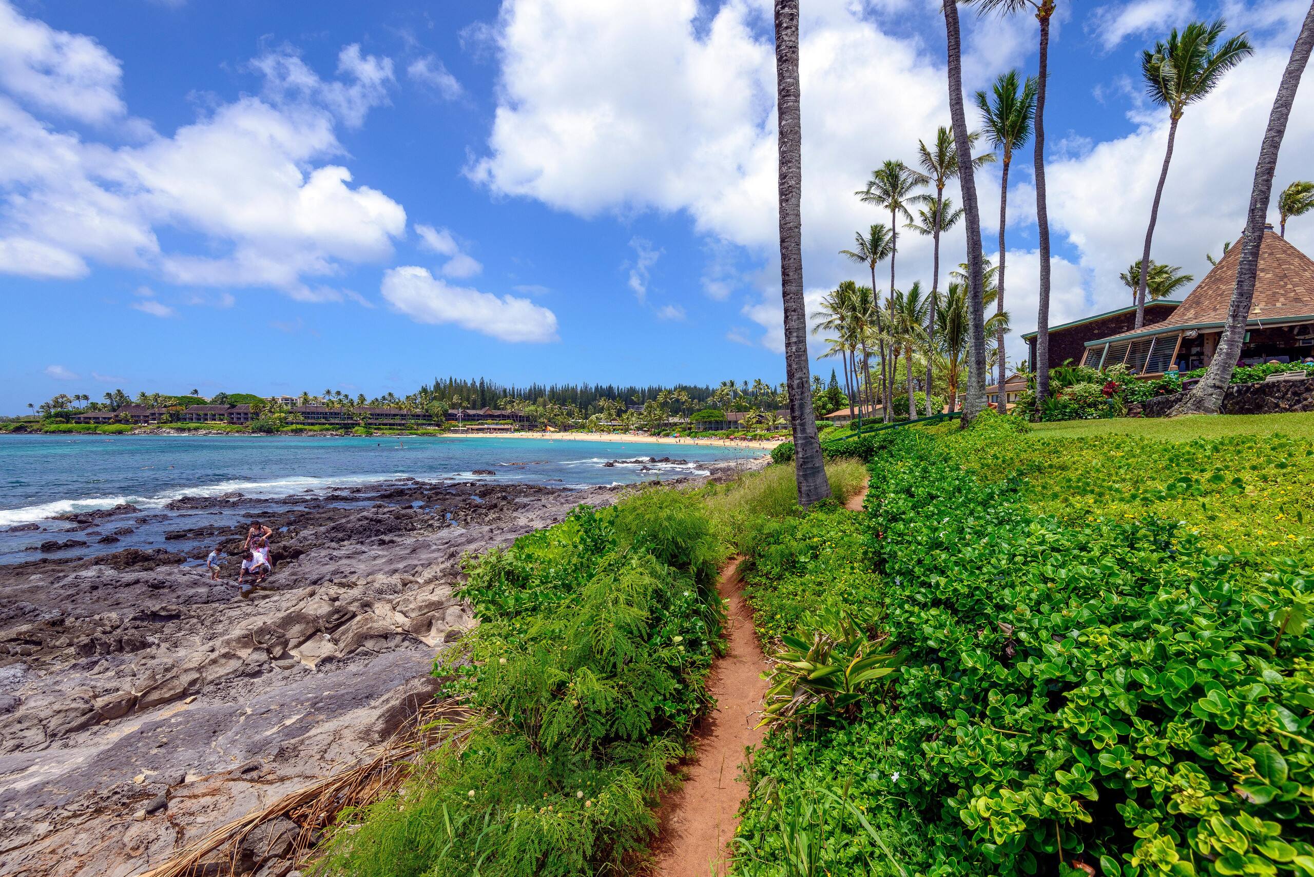 Condo in Lahaina · ★4.78 · 2 bedrooms · 4 beds · 2 baths - Image 34