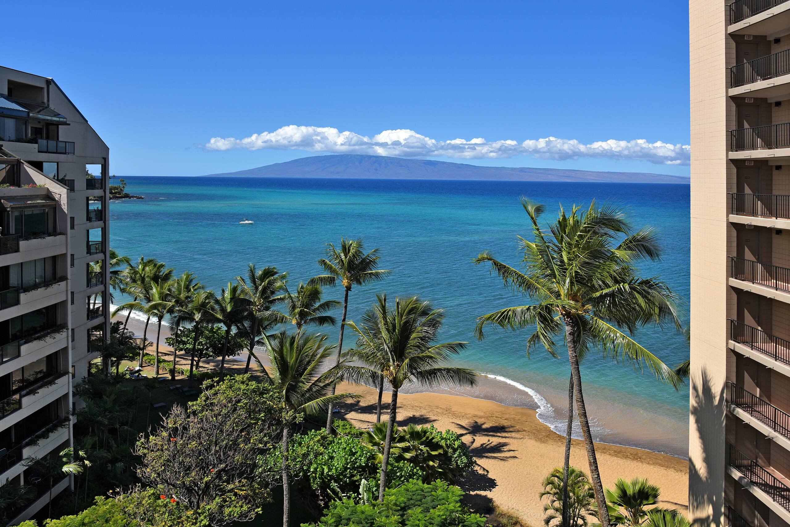 Condo in Lahaina · ★4.73 · 2 bedrooms · 2 beds · 2 baths - Image 38
