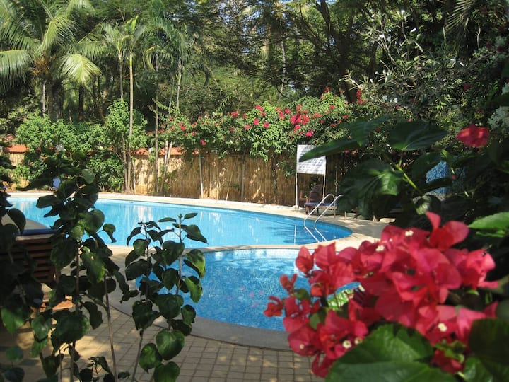 Swimming pool, a separated one for children, in the middle of a beautiful garden