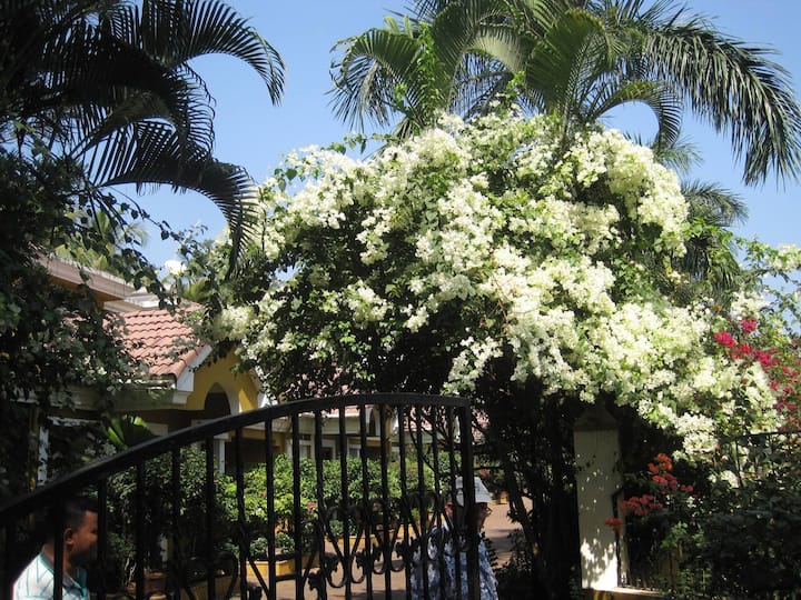 View from the upper terrace to the gate...
