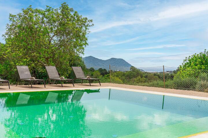 Viterbo gallery image 2