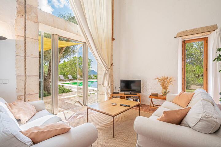 Viterbo gallery image 4