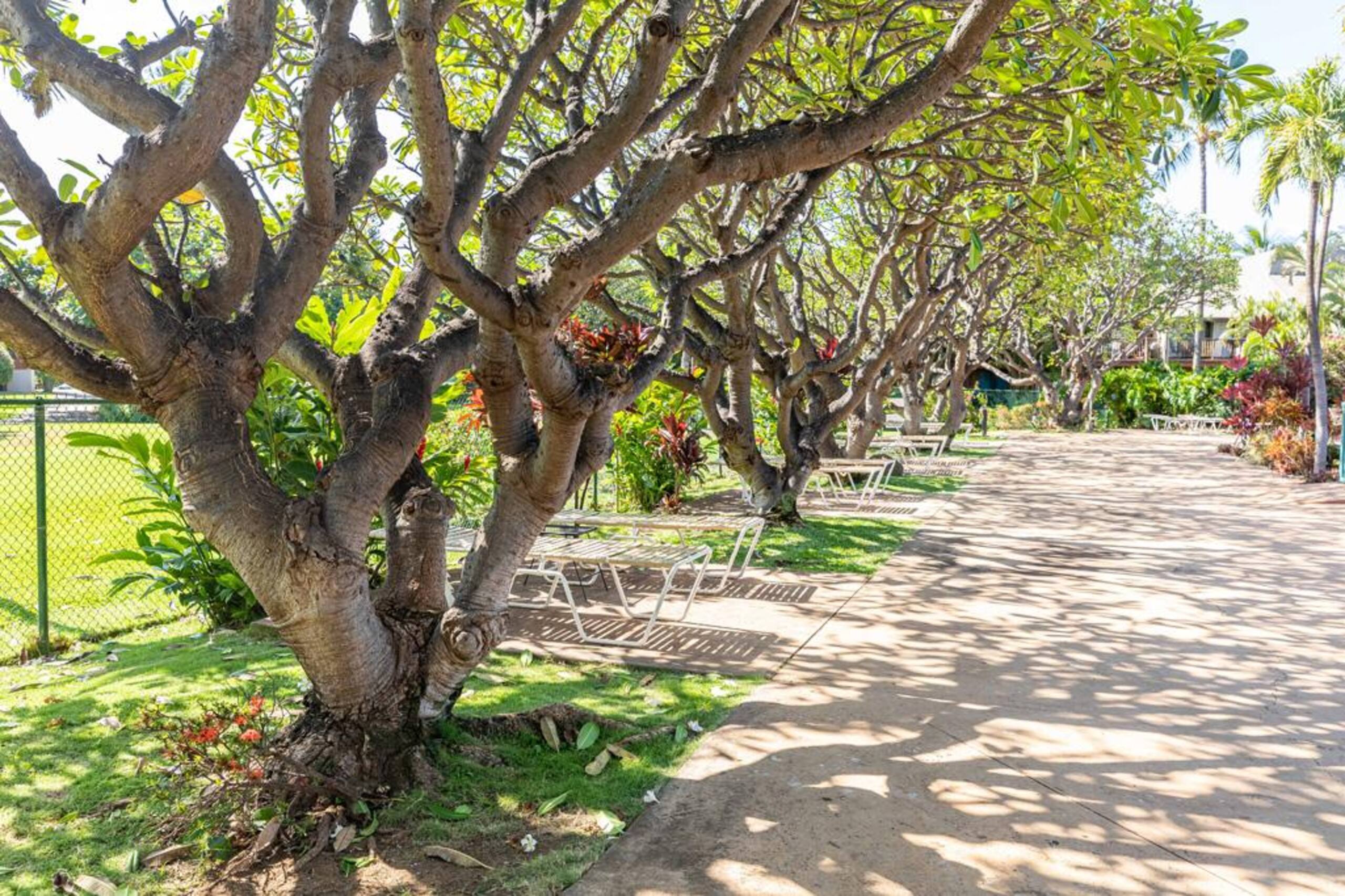 Condo in Kihei · ★4.85 · 3 bedrooms · 3 beds · 2 baths - Image 47