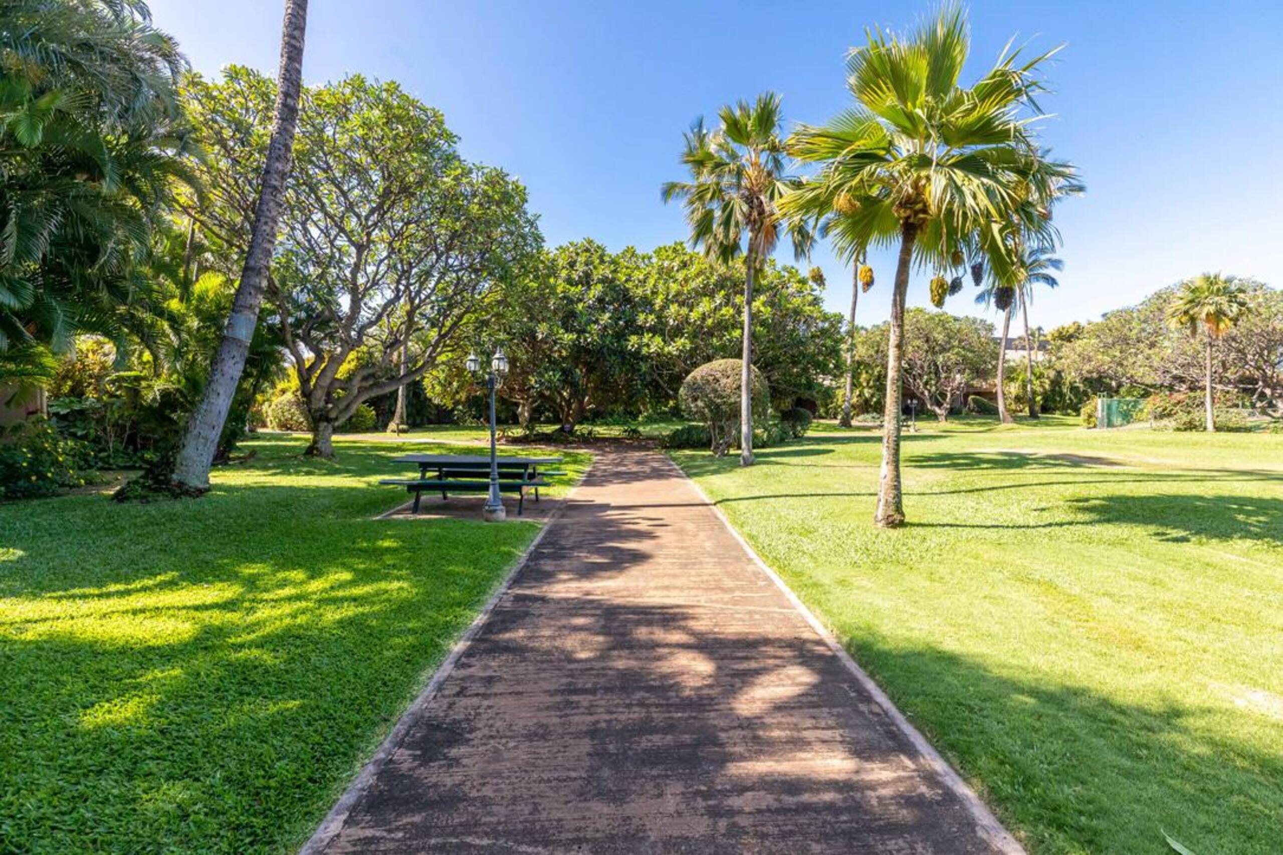 Condo in Kihei · ★4.85 · 3 bedrooms · 3 beds · 2 baths - Image 45