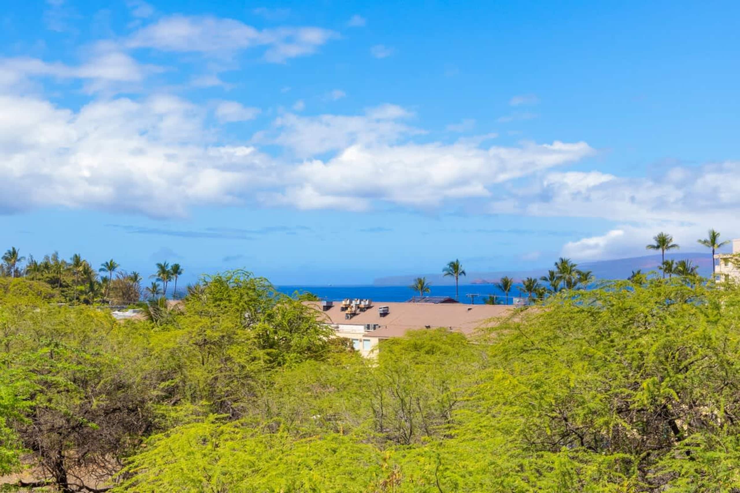 Condo in Kihei · ★4.79 · 1 bedroom · 2 beds · 1 bath - Image 22