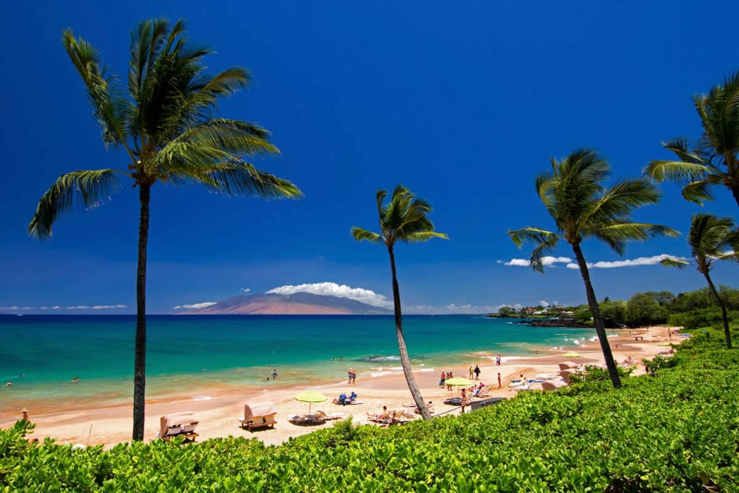 Condo in Kihei · ★4.79 · 1 bedroom · 2 beds · 1 bath - Image 28
