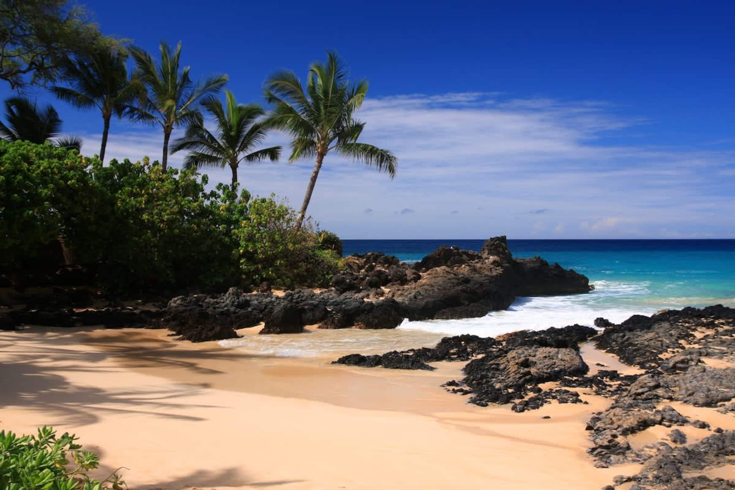 Condo in Kihei · ★4.79 · 1 bedroom · 2 beds · 1 bath - Image 26