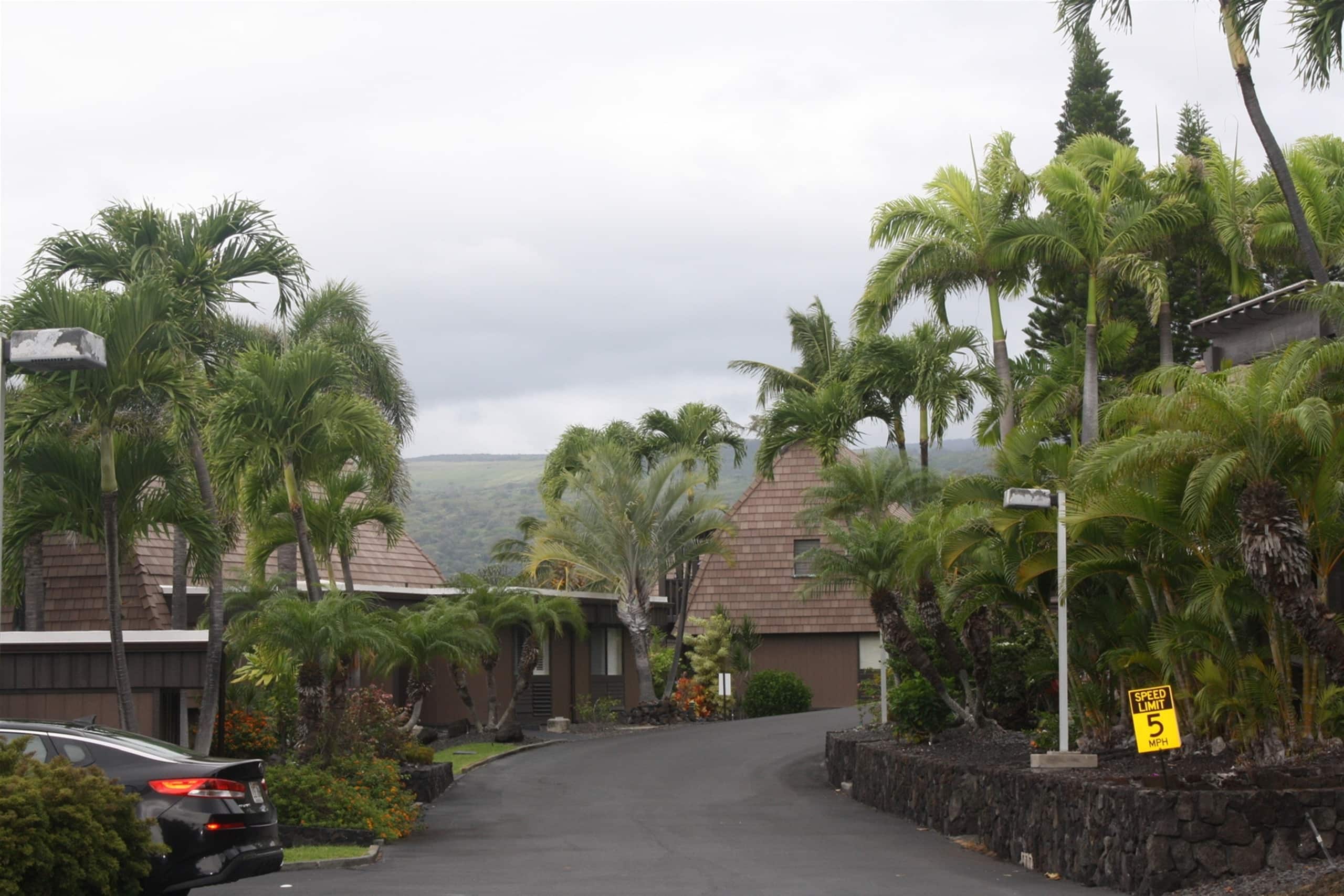 Condo in Naalehu · ★4.44 · Studio · 1 bed · 1 shared bath - Image 25