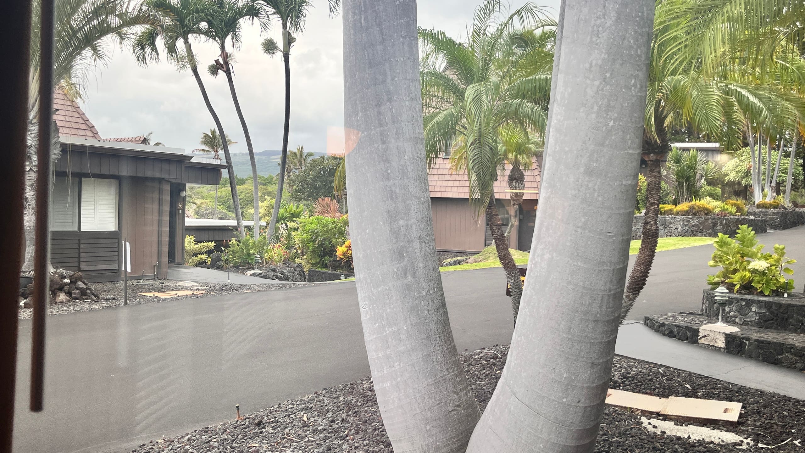 Condo in Naalehu · ★4.44 · Studio · 1 bed · 1 shared bath - Image 14