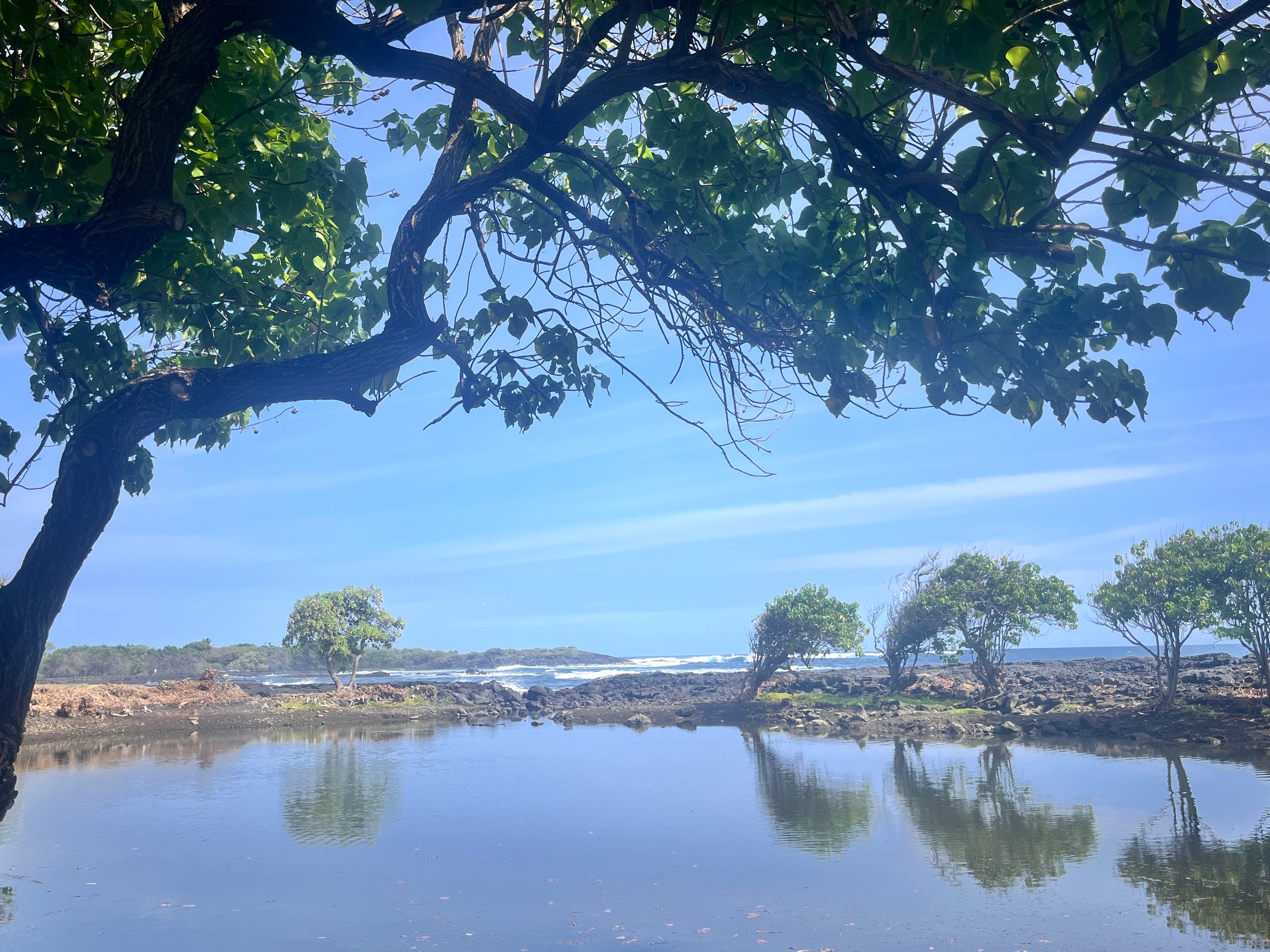 Condo in Naalehu · ★4.44 · Studio · 1 bed · 1 shared bath - Image 20